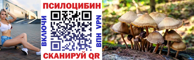 купить наркотики сайты  Ядрин  Галлюциногенные грибы GOLDEN TEACHER 